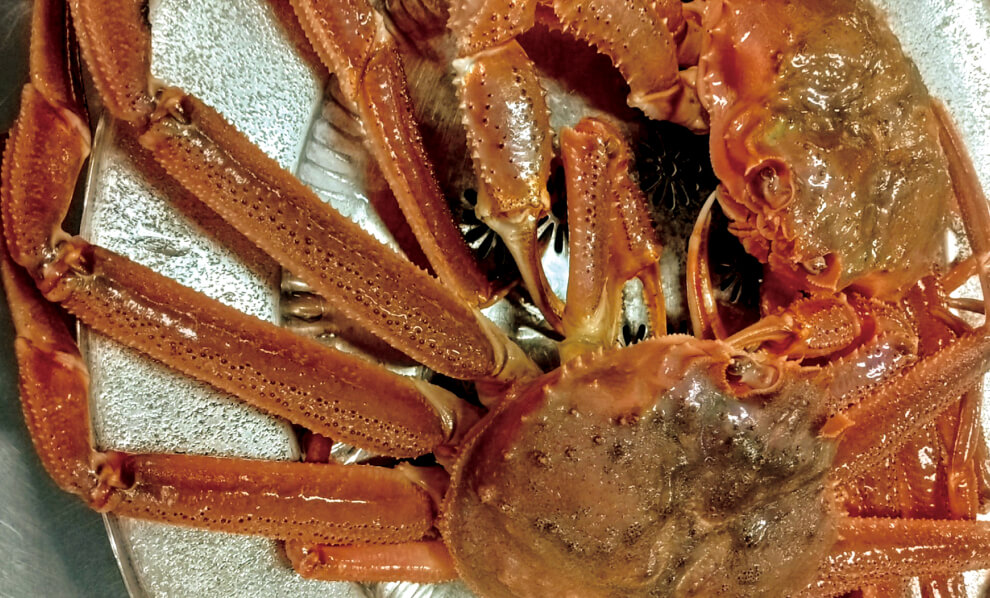 Hokkaido crab course (drink included)