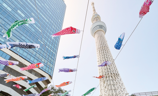 Koinobori Festival 2026