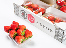Tochigi Presents: The Special Strawberry Day