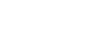 Home party